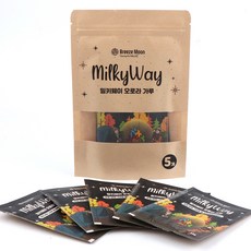 브리즈문 2세대 밀키웨이 오로라 가루 30g, 혼합색상, 5개 스포츠/레저/캠핑전문관 반품 최저가 3,340원