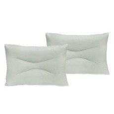 파르페by알레르망 국내 제조 빌리프 알러지케어 워셔블 경추베개, 세이지그린, 2개 홈인테리어/침구 반품 최저가 38,930원