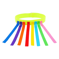 라벤티아 트레이닝 장난감 꼬리잡기 벨트 타입4, 1개 문구/오피스/학용품/수업준비 반품 최저가 12,000원