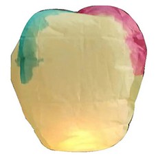 비투윈 빈벅 야외놀이 전통놀이 풍등 환등, 혼합색상, 1개 완구_취미/스포츠/야외완구 반품 최저가 3,500원