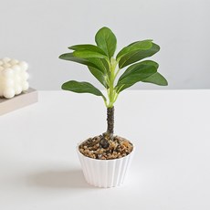 온업 플랜테리어 조화 식물 + 화분 세트, 1, 1세트 홈인테리어/홈데코/디퓨저 반품 최저가 4,870원