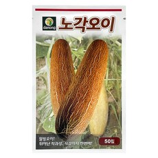 다농 노각오이 씨앗 50p, 혼합색상, 1개 홈인테리어/잔디/농기구 반품 최저가 4,000원