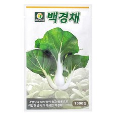 다농 백경채 씨앗 1500p, 1개 홈인테리어/원예/가드닝 반품 최저가 4,900원
