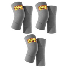 영그린 핫팩주머니 포켓형 벨벳 찜질 방한 무릎보호대 그레이 2p, 3개 생활용품/건강/의료용품 반품 최저가 4,910원