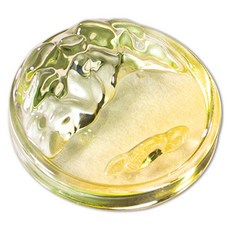 코히모 문방사우 먹물 접시 벼루 먹 그릇 겸용 붓 거치대 그린 그라데이션 4W457, 1개 문구/오피스/학용품/수업준비 반품 최저가 3,210원