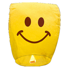 비투윈 나약성 전통놀이 소원빌기 풍등 타입7, 노란색, 1개 완구_취미/스포츠/야외완구 반품 최저가 4,710원