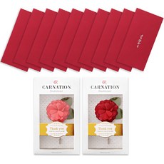 카네이션 부토니에 2종 + 메세지 선물봉투10p 세트, 사랑, 1세트 문구/오피스/카드/엽서/봉투 반품 최저가 10,370원