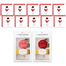 카네이션 부토니에 2종 + 메시지카드 10p 세트, 사랑해요 엄마, 1세트 문구/오피스/카드/엽서/봉투 반품 최저가 8,290원