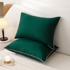 소하임 사계절 베이직 통세탁 베개, 이브닝그린, 2개 홈인테리어/침구 반품 최저가 11,370원