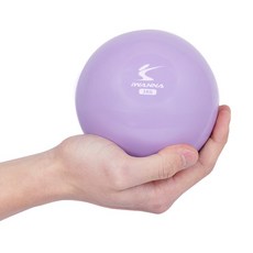 아이워너 토닝 웨이트볼, 오키드퍼플, 1kg, 1개 헬스/건강식품/홈트레이닝 반품 최저가 6,670원