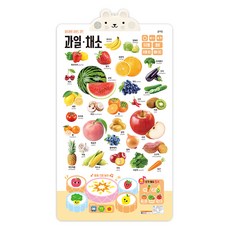 사운드 차트: 과일 채소, 블루래빗 완구/취미/학습완구/교구 반품 최저가 17,500원