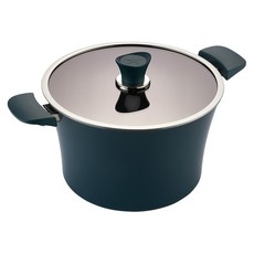 해피콜 인덕션 IH 이든 곰솥냄비, 28cm, 스투키 그린, 1개 주방용품/찜솥/들통 반품 최저가 43,490원