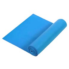 리빙홈디테일 초급용 라텍스 스트레칭 요가밴드, 블루, 1개 스포츠/레저/헬스/요가/댄스 반품 최저가 3,490원