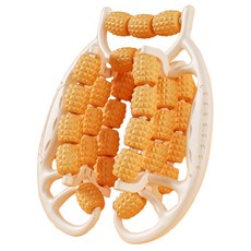 원티크 29휠 마사지 롤러, 오렌지, 1개 스포츠/레저/헬스/요가/댄스 반품 최저가 5,240원