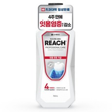 리치 프로페셔널 잇몸 전문 제로 구강청결제, 1개, 760ml 생활용품/구강/면도 반품 최저가 6,350원