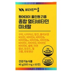 비타민마을 원어데이 올인원 21종 종합 멀티비타민 미네랄, 60정, 1개 헬스_건강식품/비타민/미네랄 반품 최저가 10,240원