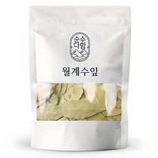 순수다함 월계수잎 한차재료, 100g, 1개 식품/건강식품 반품 최저가 4,920원