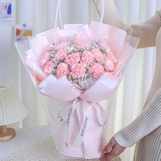 마쉬매리골드 조화 샤인 대형 비누꽃 카네이션 꽃다발 + 쇼핑백, 핑크, 1개 홈인테리어/원예/가드닝 반품 최저가 29,600원