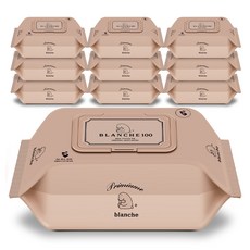 블랑슈 저자극 대용량 오리지널 제로 아기 물티슈 캡형, 100매, 10세트 생활용품/화장지/물티슈 반품 최저가 12,980원