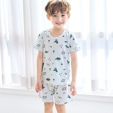 메이키즈 남아용 그리너리디노 5부모달 상하 세트 출산/유아동/유아동패션 반품 최저가 8,870원