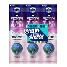 히말라야핑크솔트 담은 바이옴 잇몸 구취전문 치약, 160g, 3개 생활용품/구강/면도 반품 최저가 9,630원