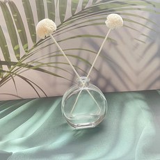 픽스9 디퓨저 공병 G, 1개, 250ml 홈인테리어/홈데코/디퓨저 반품 최저가 4,480원