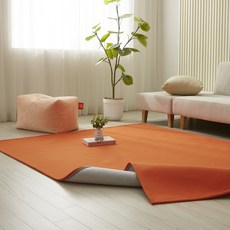 블레딕홈 뉴진스 사계절 워셔블 러그 홈인테리어/카페트/쿠션 반품 최저가 13,170원