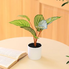 센트바스켓 조화 싱그러운 식물 그리너리 인테리어 화분 칼라데아, 혼합색상, 1개 홈인테리어/홈데코/디퓨저 반품 최저가 5,650원