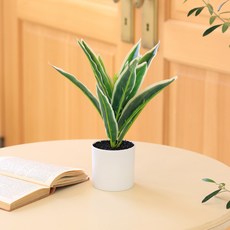 센트바스켓 조화 싱그러운 식물 그리너리 인테리어 화분 베리아, 혼합색상, 1개 홈인테리어/홈데코/디퓨저 반품 최저가 8,800원