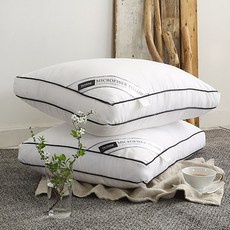 아임리빙 나노 다운필 마법베개솜 소프트 일반형, 화이트, 2개 홈인테리어/수예/수선 반품 최저가 32,370원