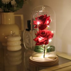 입체 유리돔 장미 무드등, 레드 출산/유아동/수유용품 반품 최저가 11,400원