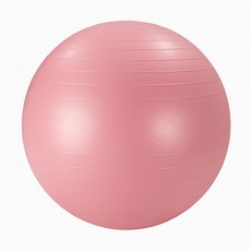 온모아 안티버스트 짐볼 + 에어펌프 + 공기마개, 핑크 스포츠/레저/홈트레이닝 반품 최저가 8,900원