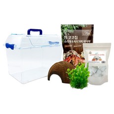 펫츠핸들러 프리미엄 올인원 소라게 키우기 브리딩 5종 세트 특대형, 혼합색상, 1세트 완구/취미/STEAM완구 반품 최저가 21,300원