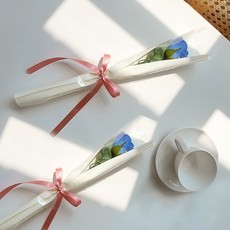 아스파시아 플르 장미 메시지 비누꽃 한송이 꽃다발 2p + 존경하는 선생님 감사합니다 2p 세트, 블루(꽃다발), 1세트 홈인테리어/홈데코/디퓨저 반품 최저가 3,830원