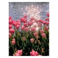 KOVISS DIY 명화 그림그리기 유화세트 40 x 50 cm, 튤립의노래, 1개 문구/오피스/미술/화방용품 반품 최저가 11,070원