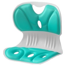 와이즈픽 초경량 바른자세 쿠션의자 L(35 x 33 x31 cm), 그린 문구/오피스/사무용품 전문관 반품 최저가 8,770원