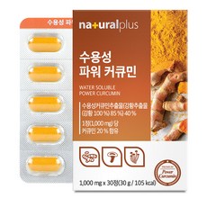 내츄럴플러스 수용성 파워 커큐민, 1개 식품/건강식품 반품 최저가 9,400원