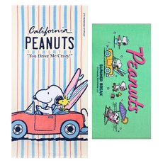 송월타월 스누피 캘리포니아 76 x 152 cm + 썸머브레이크 50 x 100 cm 비치 타월 세트 대형, 베이지, 그린, 1세트 홈인테리어/수건/타월 반품 최저가 16,350원