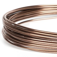 분재용 철사 3mm x 2m, 1개 홈인테리어/원예/가드닝 반품 최저가 4,250원