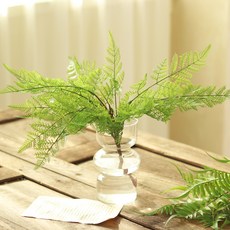 센트바스켓 에버그린 고사리 조화 + 볼륨 클리어 화병 세트, 레이스펀, 1세트 홈인테리어/홈데코/디퓨저 반품 최저가 11,320원