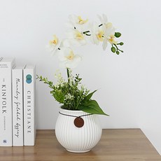 도시정원 조화 호접란 소품, 화이트, 1개 홈인테리어/원예/가드닝 반품 최저가 14,170원