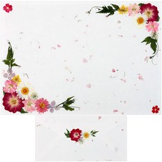 편지쓰는날 압화 예단편지 완제품 + 봉투 + 연습한지 세트, 퍼플장미, 3개 문구/오피스/카드/엽서/봉투 반품 최저가 13,350원