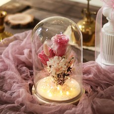 센트바스켓 핑크블러썸 프리저브드 플라워 led 유리돔, 핑크 홈인테리어/드라이플라워 반품 최저가 22,720원