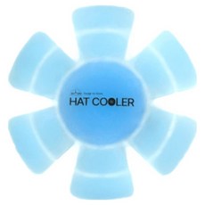 디유 모자에 넣어쓰는 헤드쿨러 블루 아이스팩 17.5 x 17.5 cm, 1개 생활용품/생활잡화 반품 최저가 3,780원