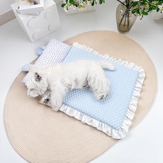 파스텔펫 반려동물 엠보 베어필로우 쿠션, 블루, 1개 반려동물용품/강아지 용품 반품 최저가 12,040원