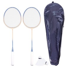 라라애플 배드민턴 라켓 2p + 셔틀콕 2p + 가방 세트, 1세트, WLA5001 스포츠/레저/라켓스포츠 반품 최저가 7,120원