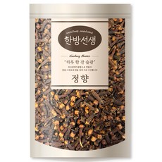 한방선생 정향 클로브, 100g, 1개 식품/채소 반품 최저가 5,360원