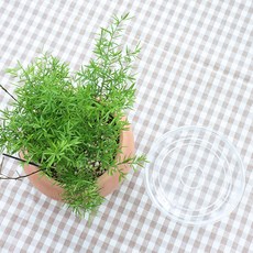 모리앤 아크릴 화분 받침, 투명, 2개 홈인테리어/원예/가드닝 반품 최저가 3,790원