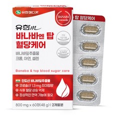 유한메디카 바나바 엔 탑 혈당케어 48g, 60정, 1개 헬스/건강식품/건강식품 반품 최저가 9,730원