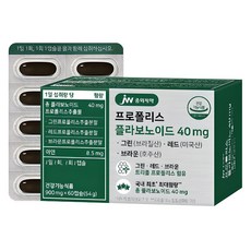 JW중외제약 프로폴리스 플라보노이드 40mg, 60정, 1개 헬스/건강식품/꿀/프로폴리스 반품 최저가 13,580원